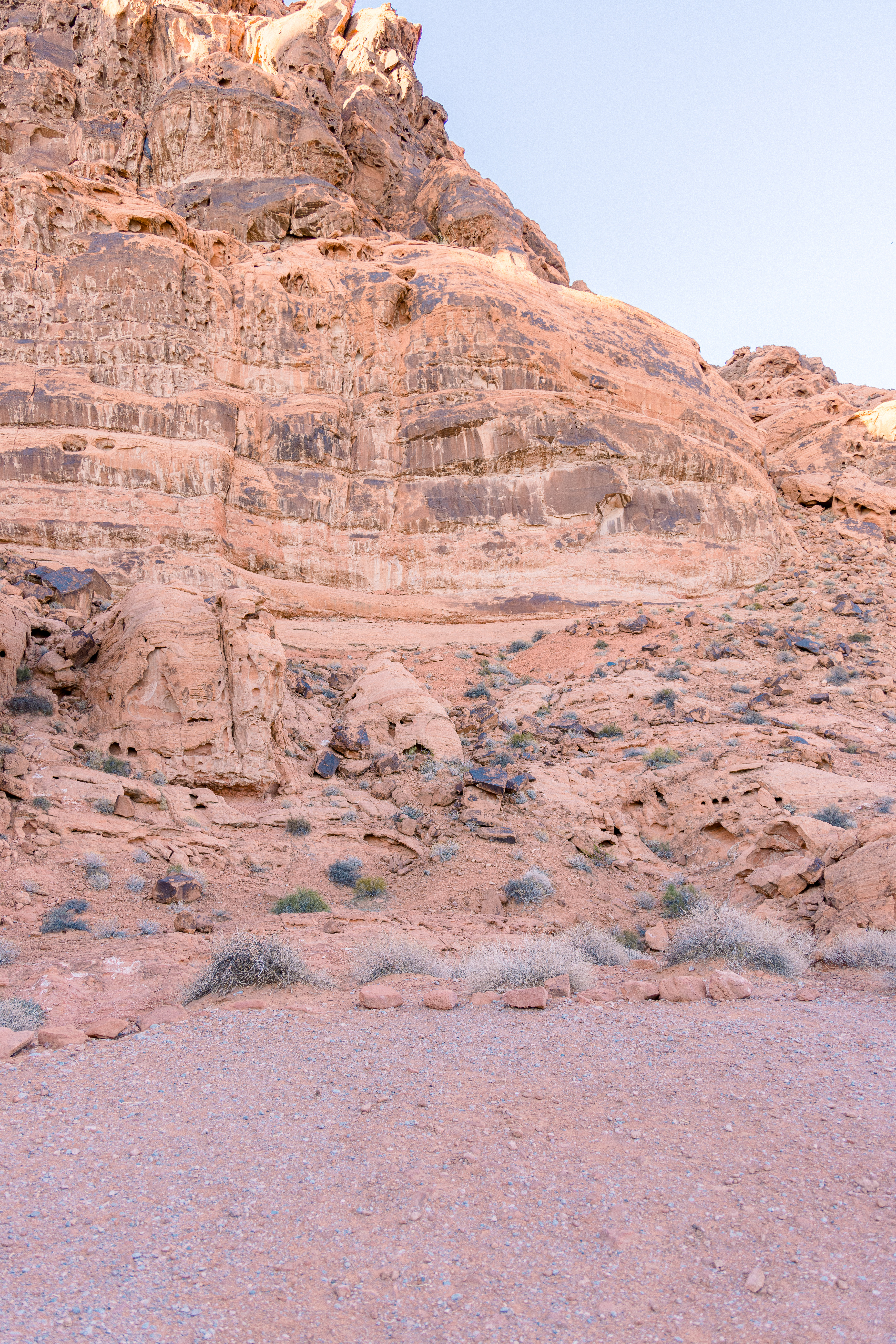 boho las vegas desert wedding